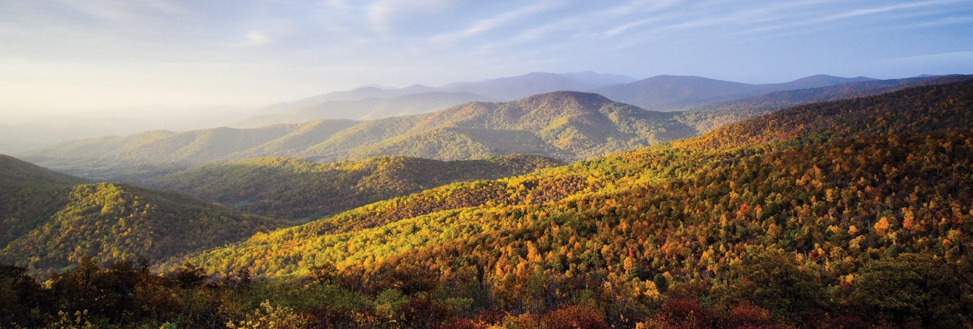 Wintergreen Property Management Company Photo